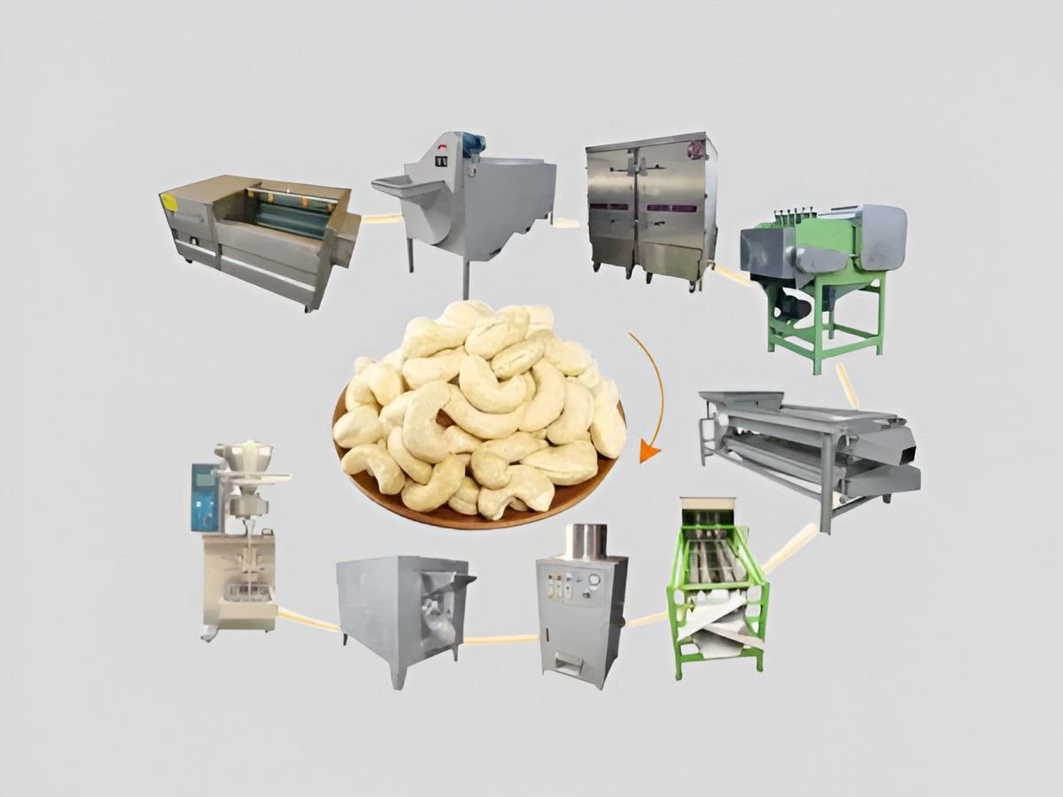 Cashew processing plant machinery