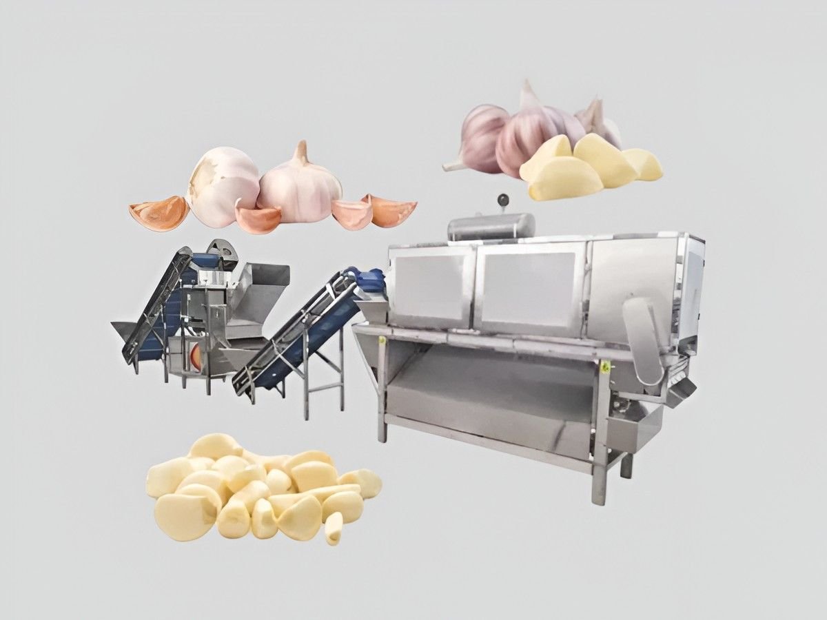 Garlic processing plant machinery