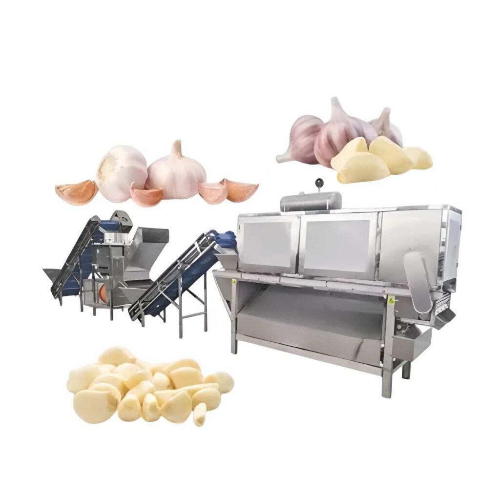 Garlic processing plant machinery