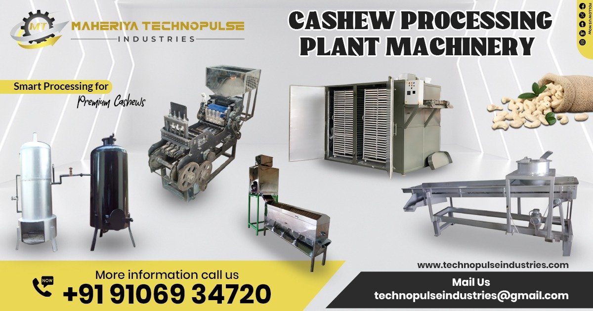 Cashew processing plant machinery Supplier in Tamil Nadu
