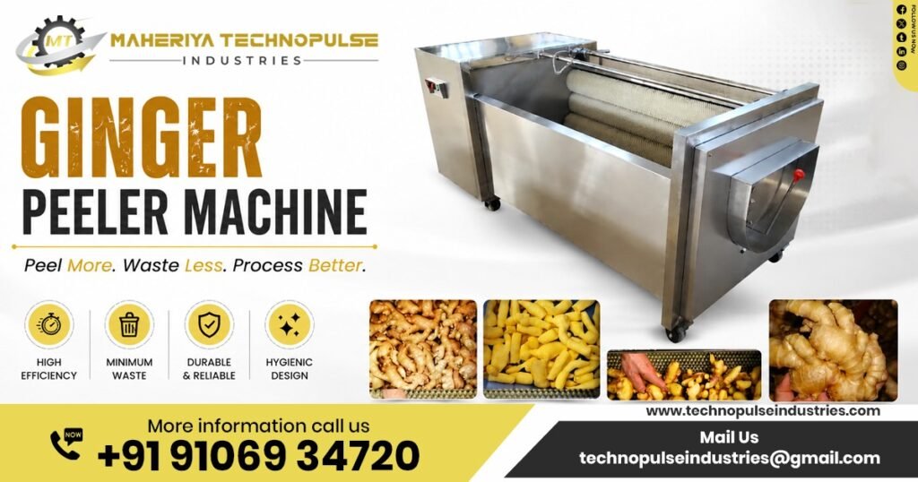 Ginger Peeling Machine in Assam by Maheriya Technopulse Industries
