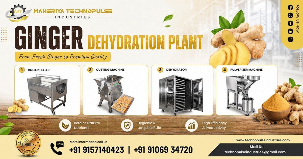 Ginger Flake Dehydration Processing Plant In Karnataka