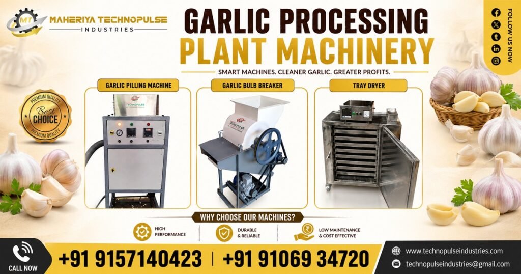 Garlic Processing Machine Supplier In Rajasthan